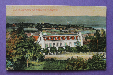 Ansichtskarte AK Bahlingen 1905-1920 Bad Silberbrunnen